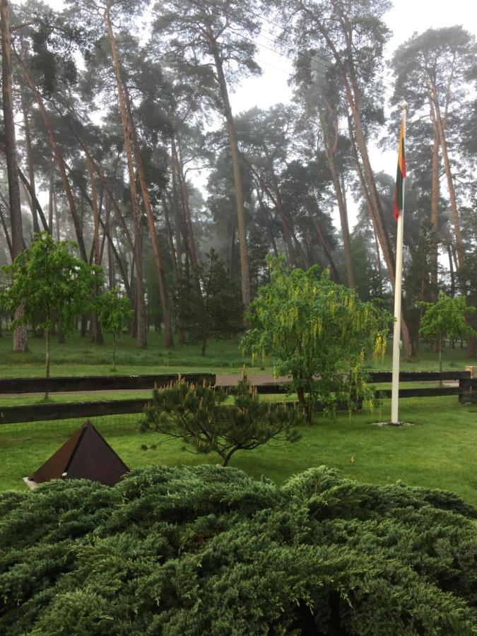 Kulautuva Rest Home Large Space Luaran gambar